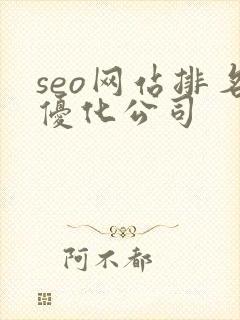 seo网站排名优化公司