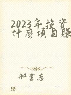 2023年投资什么项目赚钱