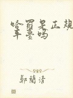 哈罗是正规借款平台吗