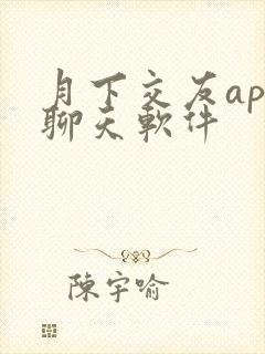 月下交友app聊天软件