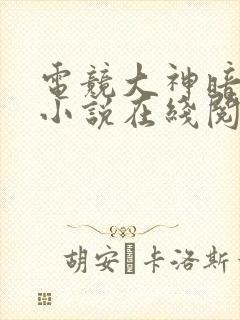 电竞大神暗恋我小说在线阅读