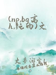 (np,bg高h,纯肉)文