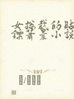 女总裁的贴身保镖萧晨小说