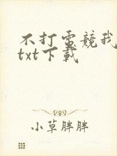 不打电竞我独美txt下载