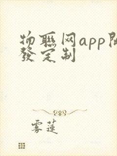 物联网app开发定制