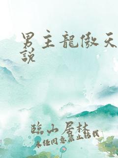 男主龙傲天的小说