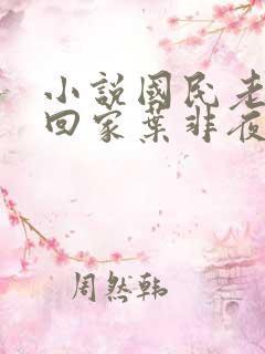 小说国民老公带回家叶非夜