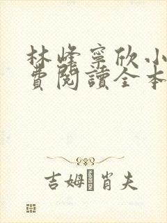 林峰宁欣小说免费阅读全本下载