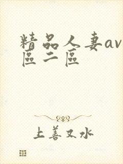 精品人妻av一区二区