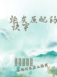 炮灰原配的人生 快穿