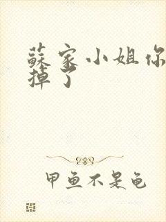 苏家小姐你老公掉了