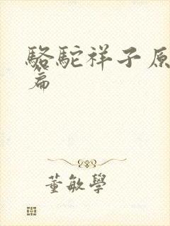 骆驼祥子原文全篇