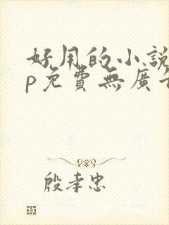 好用的小说app免费无广告