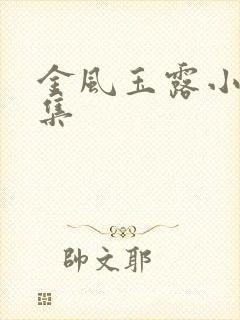 金风玉露小说全集