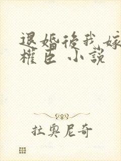 退婚后我嫁给了权臣 小说