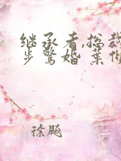 继承者,总裁步步惊婚 叶倾倾