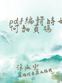 pdf编辑时如何加页码