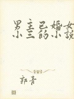 男主已婚女主是小三的小说