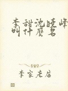 李甜沈晓峰小说叫什么名