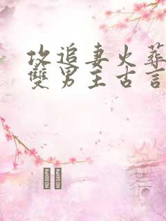 攻追妻火葬场的双男主古言