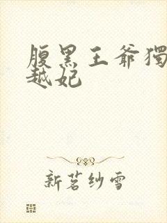 腹黑王爷独宠穿越妃