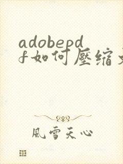 adobepdf如何压缩文件大小