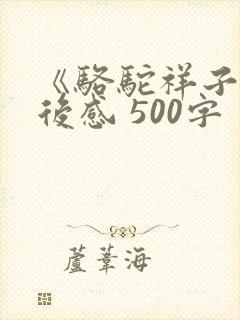 《骆驼祥子》读后感 500字
