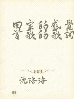 回家的感觉是哪首歌的歌词