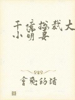 千亿总裁大叔的小萌妻