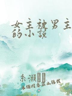 女主被男主绑架的小说