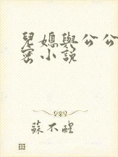 儿媳与公公的秘密小说