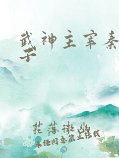 武神主宰秦尘妻子