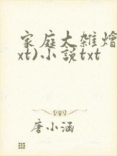 家庭大杂烩(txt)小说txt