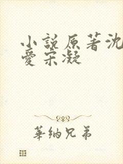 小说原著沈岸不爱宋凝