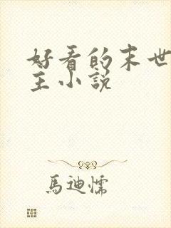 好看的末世双男主小说