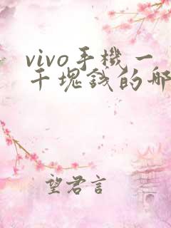 vivo手机一千块钱的哪一款性价比高