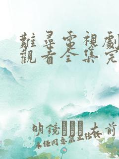 难寻电视剧免费观看全集完整版高清