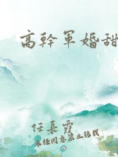 高干军婚甜文