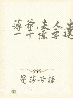 薄爷,夫人出价一千亿要退婚小说全文免费