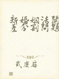 新婚姻法关于房产分割问题