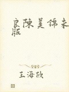 良陈美锦未删减版