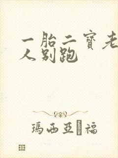 一胎二宝老婆大人别跑