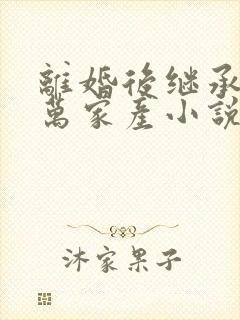 离婚后继承了亿万家产小说 免费