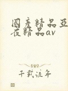 国产精品亚洲午夜精品av