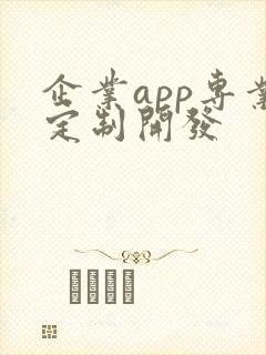 企业app专业定制开发