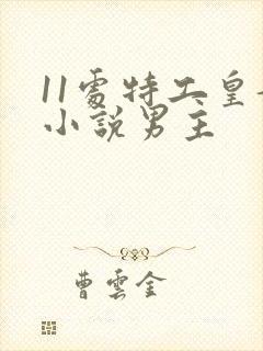 11处特工皇妃小说男主