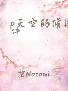 p天空的修图软件