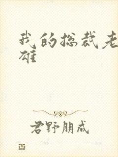 我的总裁老婆叶雄