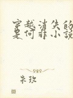 穿越消失的她我是何非小说