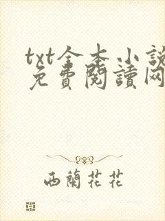 txt全本小说免费阅读网站